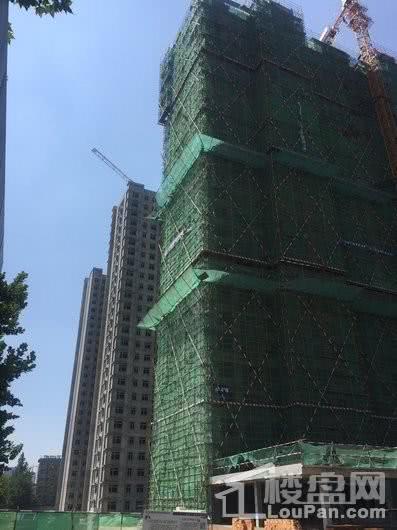 圣源·君临天下实景图