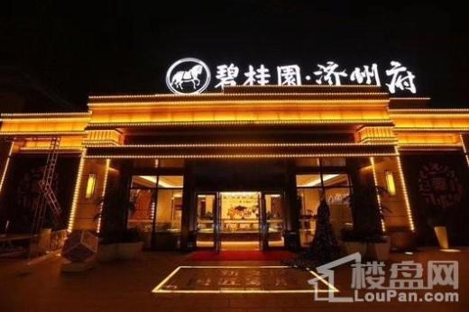 碧桂园·济州府实景图