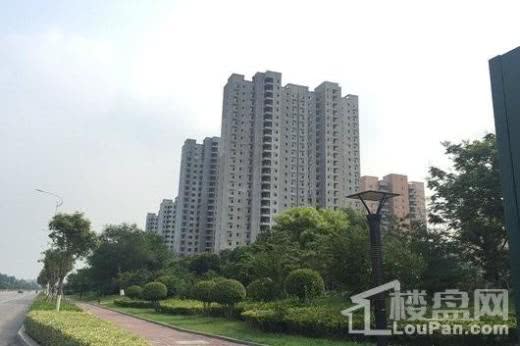冠鲁·明德华府实景图