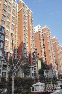 君临城市花园实景图