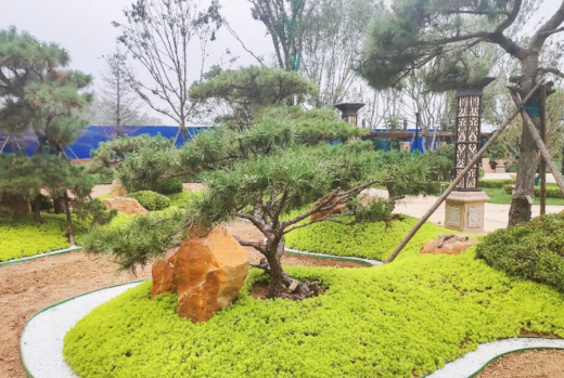 恒大悦珑湾实景图