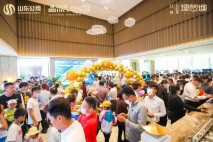 公用九巨龙理想城